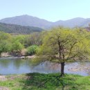 죽곡면 당동1구 마을회관 | 곡성 화장산, 고장산, 예봉, 욕천성