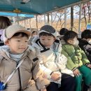 [12월 1주] 서울대공원 & 참사랑 크리스마스공연🎄 이미지