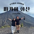 과테말라_과테말라 안티구아(2):: 파카야 화산투어(여행사,비용,준비물)