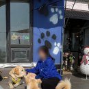 스테이반하나 이미지