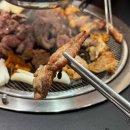 애완동물 소품(옷)만들기 이미지