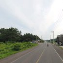 표선리-12 이미지