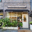 부엔까미노 | 양주 옥정 부엔까미노플라워 몬스테라 내 돈 내산 분갈이 후기