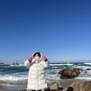 멕시칸양념치킨온천2분점 | 정동진 강릉 기차여행,호텔 탑스텐, 셔틀버스, 금진온천 수영장, 멕시칸치킨 정릉점 썬카페 내돈내산