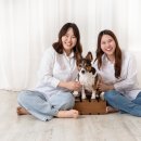 더모멘트스튜디오