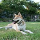 바닐라브릭 이미지