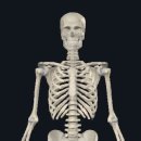 연희 피티 앤 피트니스 이미지