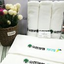네모수건