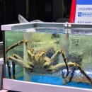 수복상회 이미지