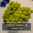 샤인 | 과일 :: 리빌리지 샤인머스켓 후기