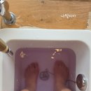 일영 | 양주 족욕카페 일영허브랜드 방문 후기🎀