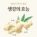 청궁 이미지