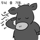 2020-주158 이미지