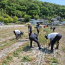 통영시 농업기술센터 이미지