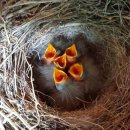 둥지농원 이미지