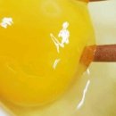 대섬알이랑 이미지