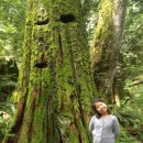 서윤의숲길 이미지