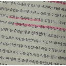 로또는내운명 이미지
