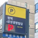 삼성생명(공진양행) 이미지