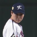 짝꿍