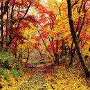 구로-구로-구로-2036 이미지