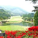 신원골프 이미지