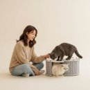 펫하우스 V 쇼핑하우
