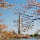 워싱턴 D.C.(Washington D.C.) - 추억의 미대륙 주유기(16)