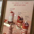백미당현대아울렛 | [대전현대아울렛] 백미당 신메뉴 솔직 후기 딸기 아이스크림