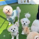 멍더가든 이미지