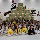 품태권도 이미지