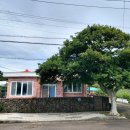 표선리-24 이미지