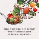 유 앤 독 이미지