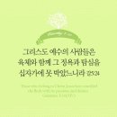오늘의 '영어성경 사진'(842강) “그리스도 예수께 속한 사람들”(갈라디아서 5장 24절) 이미지