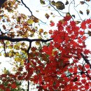 무릉계곡힐링캠프장 이미지