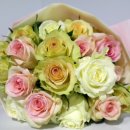 홍운농장 이미지