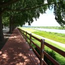 은행나무길 대여소 이미지