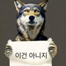 마리앤미 | 개.강.. (한지 1달 지남)