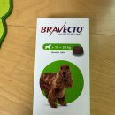 대심동물병원 이미지