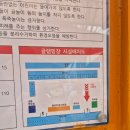 충남 공주 글램핑 캠핑 바베큐 무한 리필 계룡산글램핑 동월숲 후기