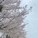 응암공원 이미지