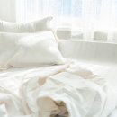 코리아세탁 이미지