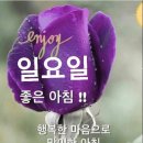 이쁜여우