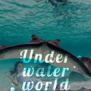 아랫장PC 이미지