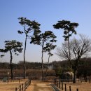 [강화도] 부근리지석묘,장정리석조여래입상,장정리5층석탑,월곶돈대,연미정 이미지