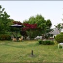산아11