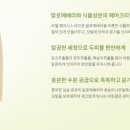 헤어마임 이미지