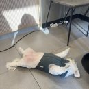 커피 플러스 메이트