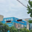 엘리지앙 이미지