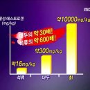 MBC "생방송 오늘 아침"에 문경에서 연삼님과 칡 채취하는 모습 ㅋㅋ 이미지